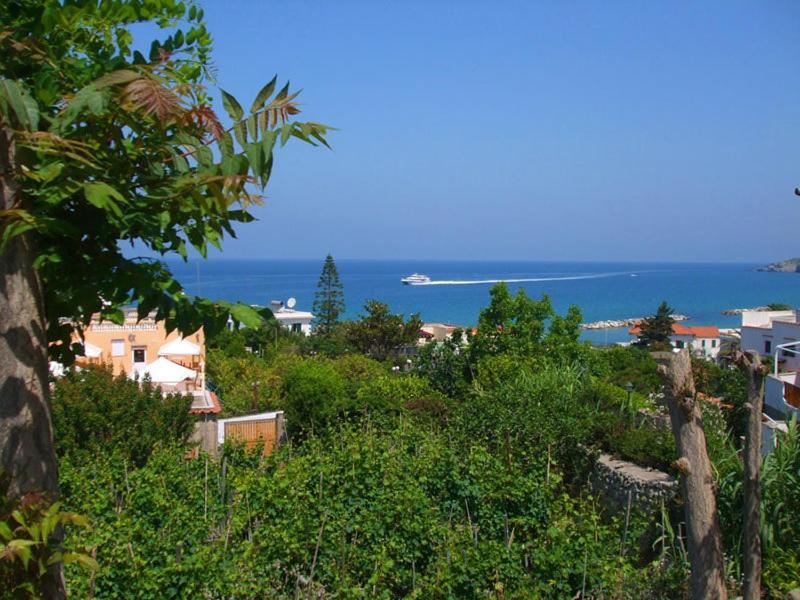 Albergo Villa Hibiscus Forio di Ischia Eksteriør billede