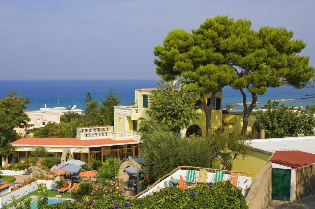 Albergo Villa Hibiscus Forio di Ischia Eksteriør billede