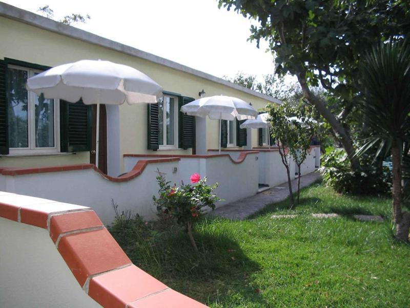 Albergo Villa Hibiscus Forio di Ischia Eksteriør billede